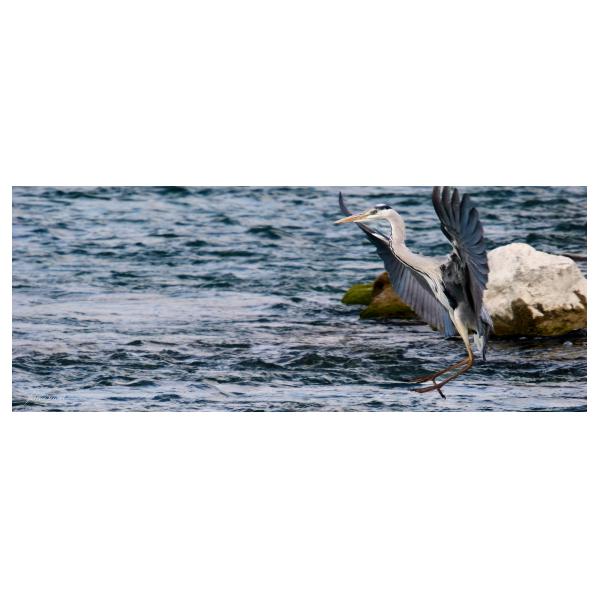 PHOTO84, CLUB, 84 , LUBERON